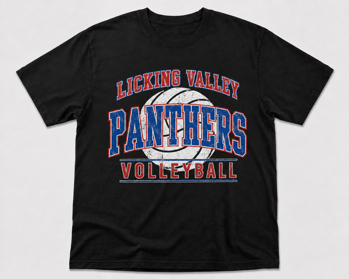Distressed Panthers Volleyball