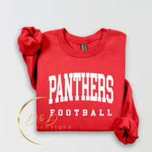 Panthers (Distressed)