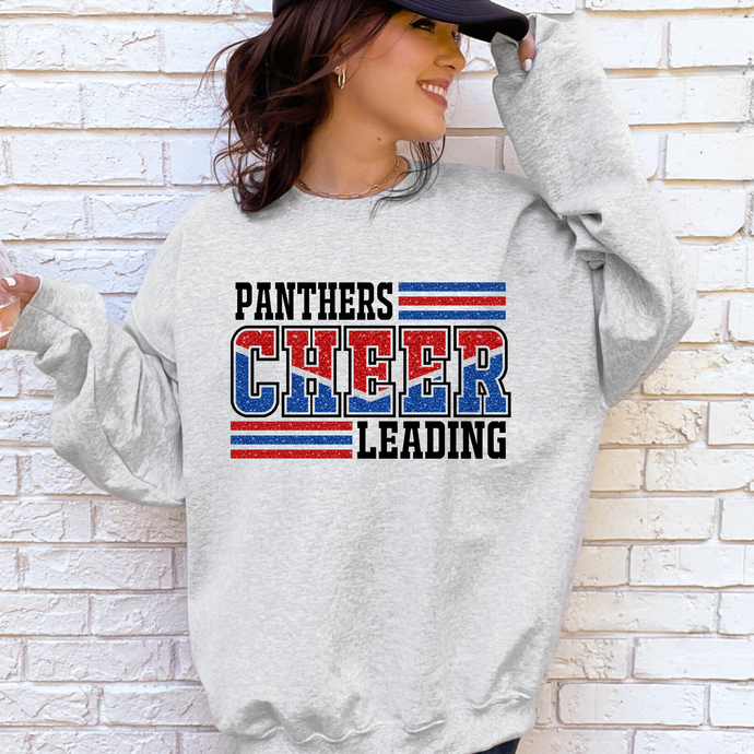 Panthers Cheerleading (faux glitter)