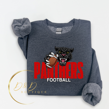 Football - Panther