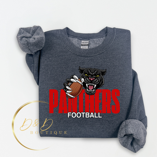 Football - Panther