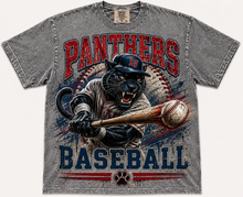 Panthers Baseball (with bat)
