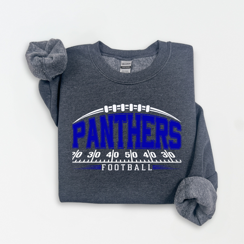 Panthers Football w/Field Lines