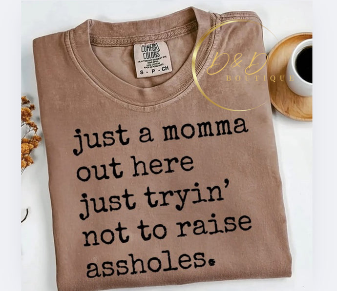 Just a Momma
