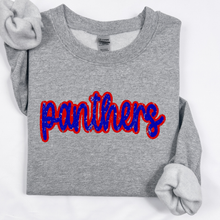 Panthers (distressed cursive)