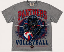 Panthers Volleyball