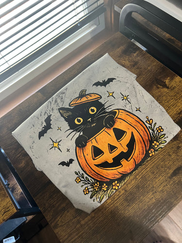 Cat in the Pumpkin
