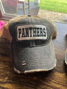 Panthers Hat