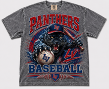 Panthers Baseball
