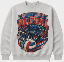 Old School Panthers Volleyball