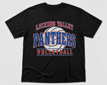 Distressed Panthers Volleyball