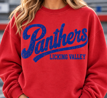 Vintage Panthers Script ***HOT DEAL ***