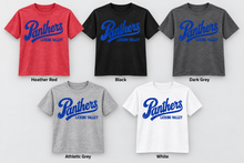 Vintage Panthers Script ***HOT DEAL ***