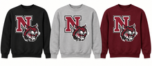 Newark Wildcats