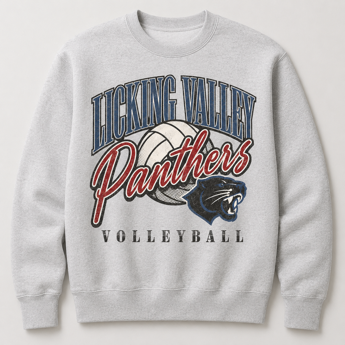 Vintage Panthers Volleyball