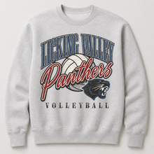 Vintage Panthers Volleyball