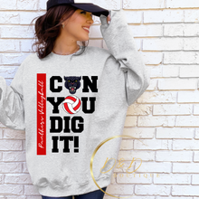 Can You Dig It! - Panthers