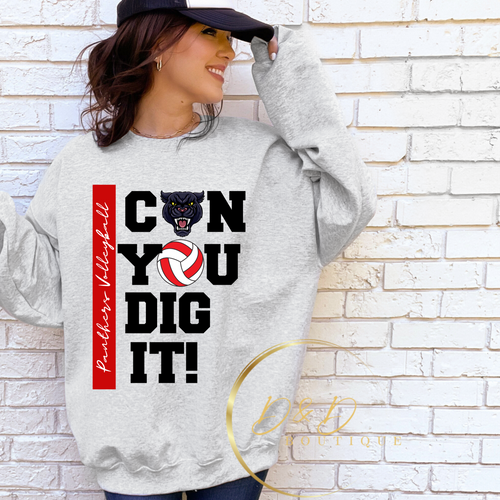 Can You Dig It! - Panthers
