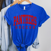 Panthers Soccer (distressed)